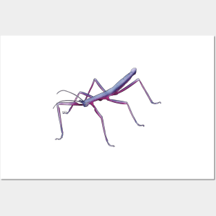 Bisexual Stick Bug Posters and Art